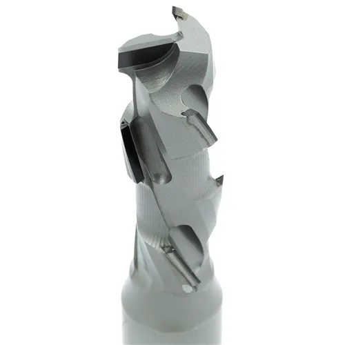 IGM Ekonomik Diamantfräser Z1+1 - D20x54 L115 S=20x50 (6DP)