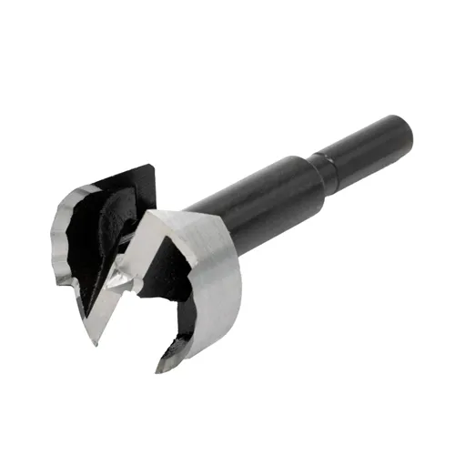FISCH Wave Forstnerbohrer, D40x60 L90 S=10 (Gebraucht)